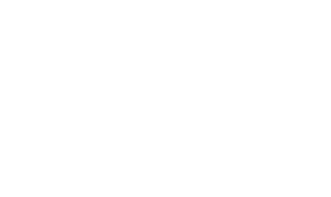 ion logo updated white