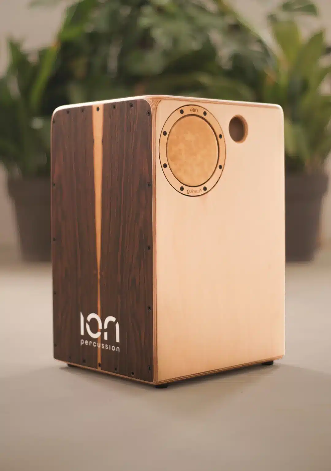 Musical instrument site